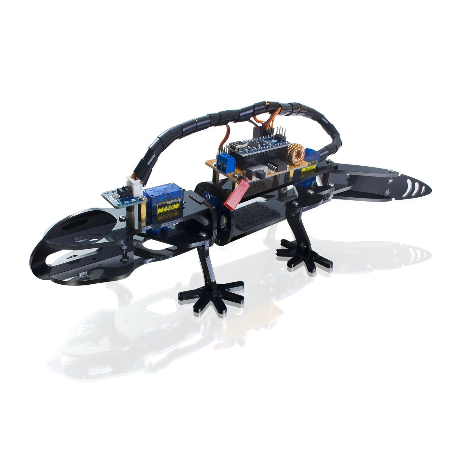 DIY Bionic Robot Lizard – Kit for Beginners