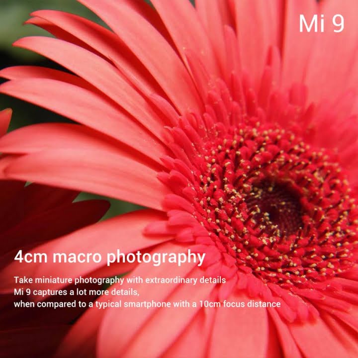 Xiaomi Mi 9 4cm macro photography