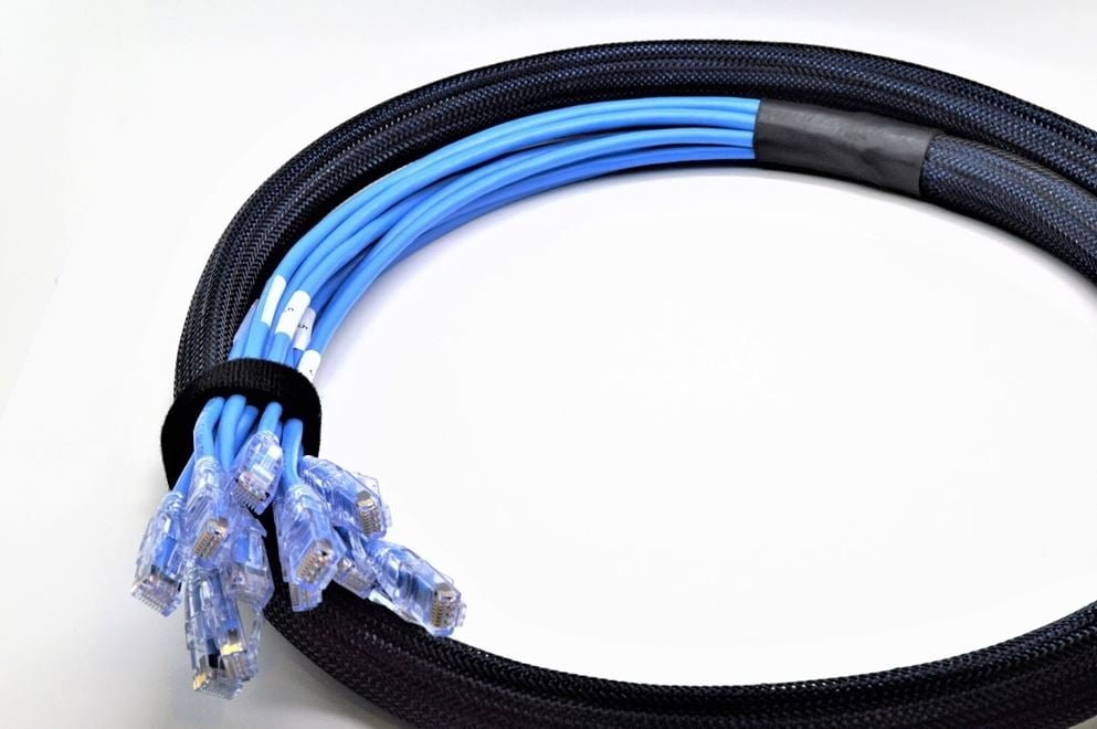 Plug To Plug 2.jpg