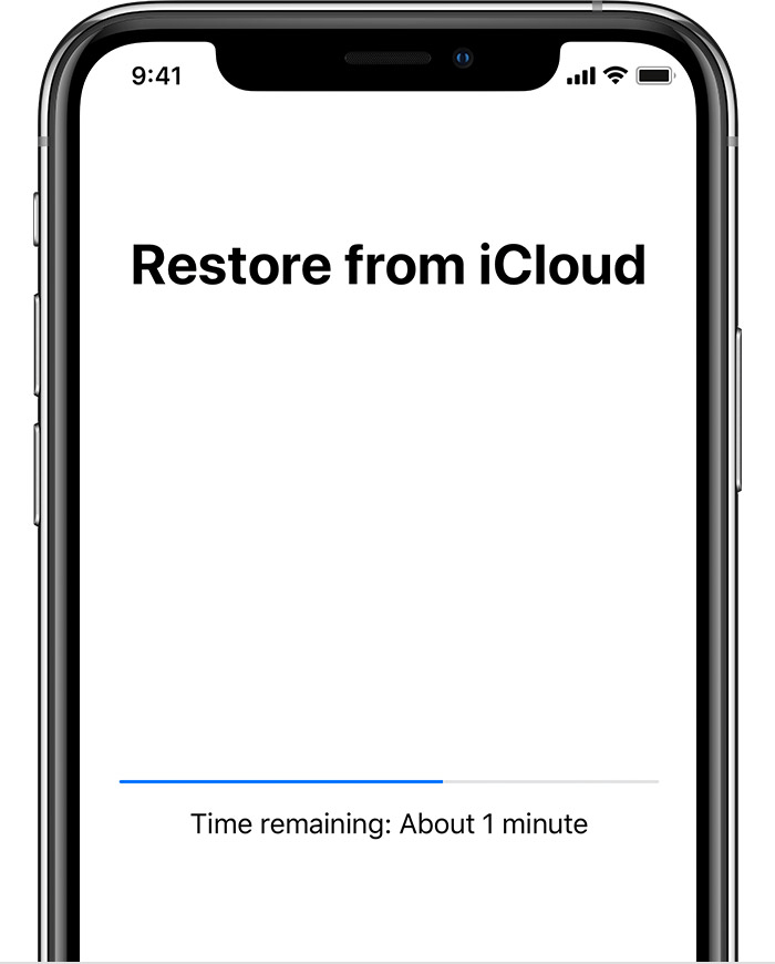 Recovering From Icloud