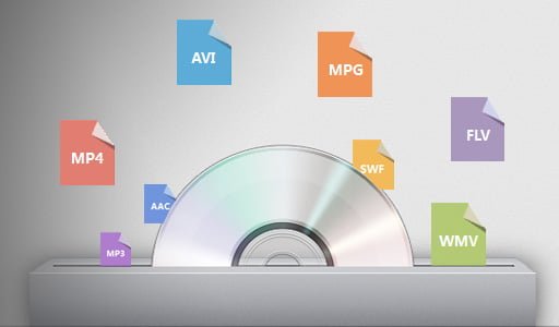 dvd ripping