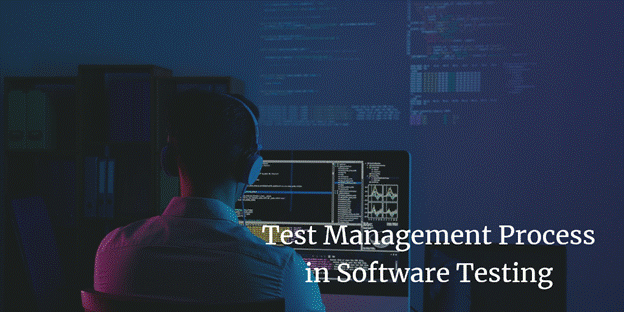 Test Management Process in Software Testing
