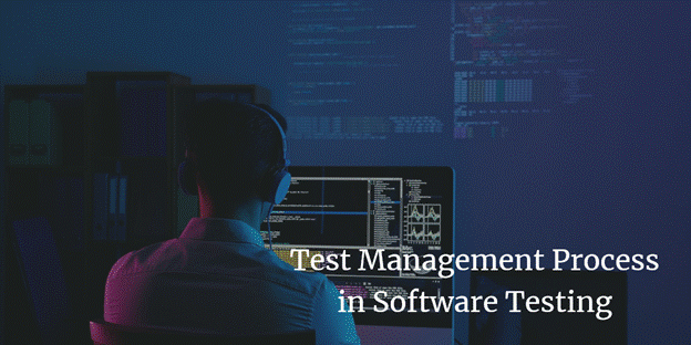 Test Management process