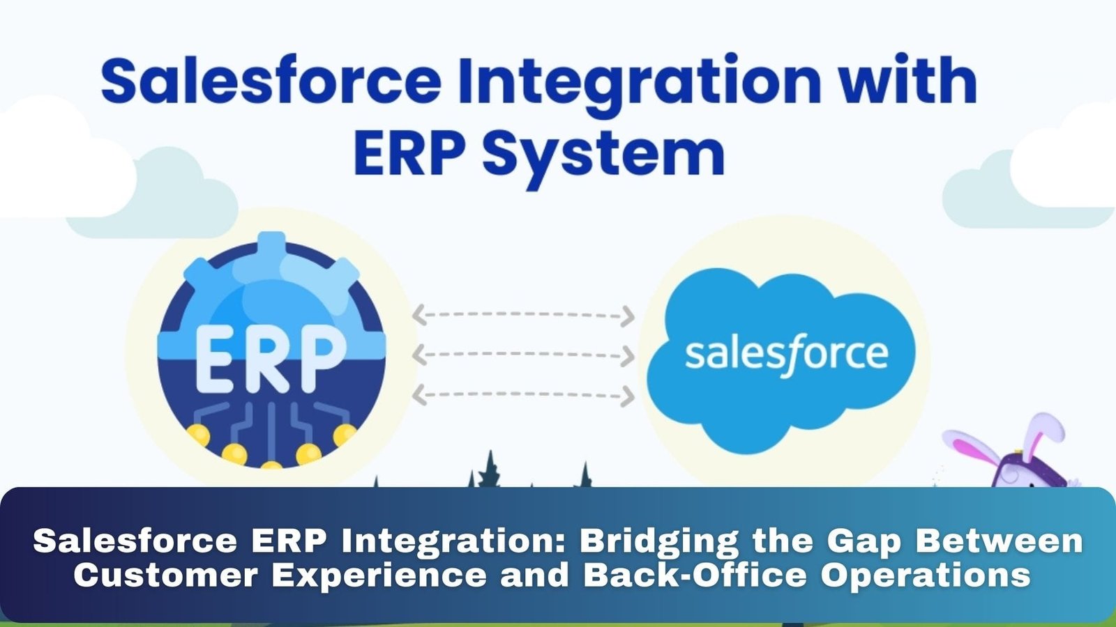 Salesforce ERP Integration