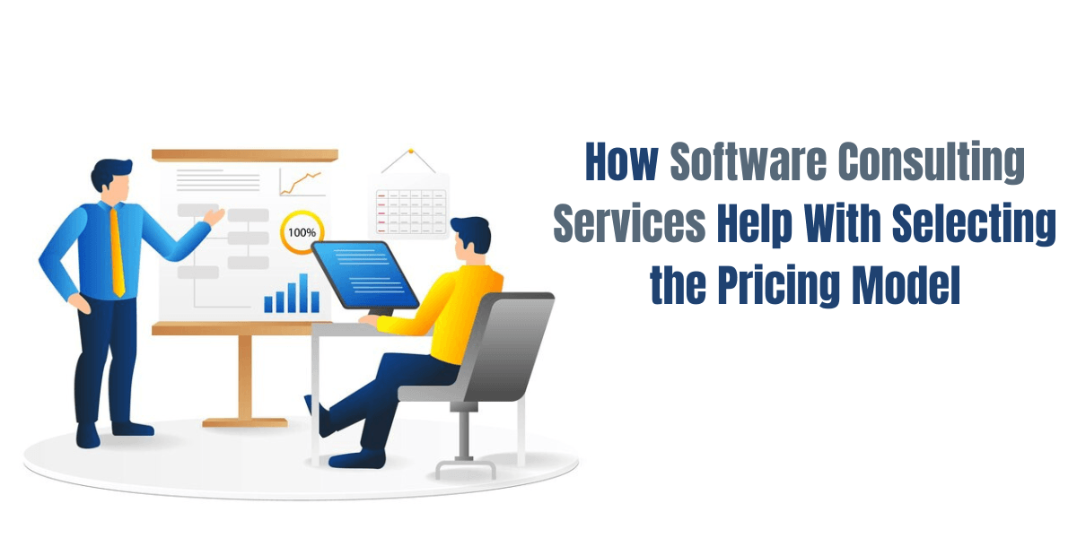 How Software Consulting Services Help With Selecting the Pricing Model